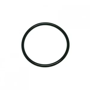 O-ring til pumpe Speidel Braumeister 20L og 50L