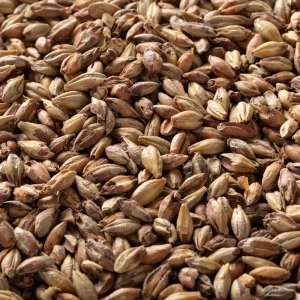Victory Malt (55 EBC) 100g - Briess