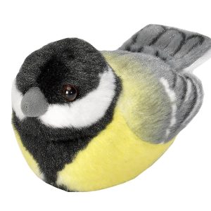 WR fugl Great tit