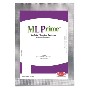 ML Prime 25g / 2,5hl - Lallemand