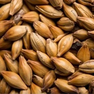 Pale Crystal Malt (60-90 EBC) 100G - Thomas Fawcett