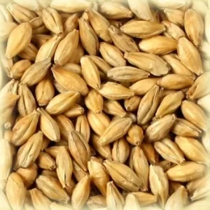 Whisky Malt (2,5-4,5 EBC) 100G - Castle Malting