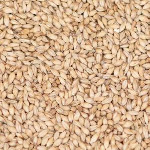 Maris Otter Pale Ale Malt (5-7,5 EBC) 100G - Thomas Fawcett